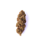 AK47 CBD