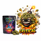 Critical Cali CBD