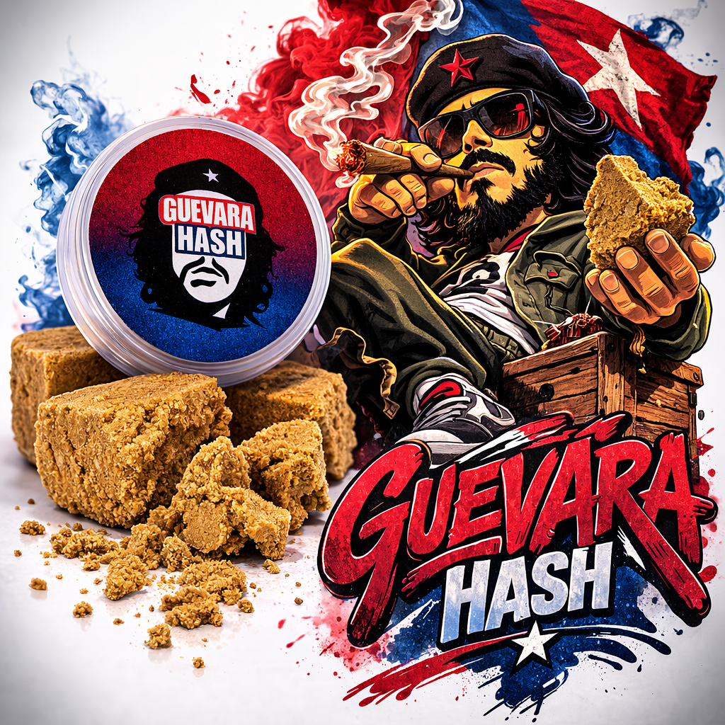 Guevara Hash CBD