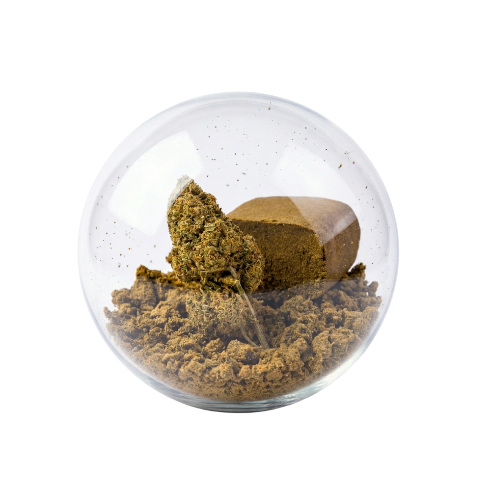 Pack bola mariachi - 4/20