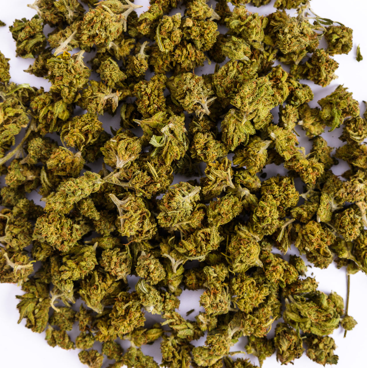 Dragon Buds CBD 10 gr