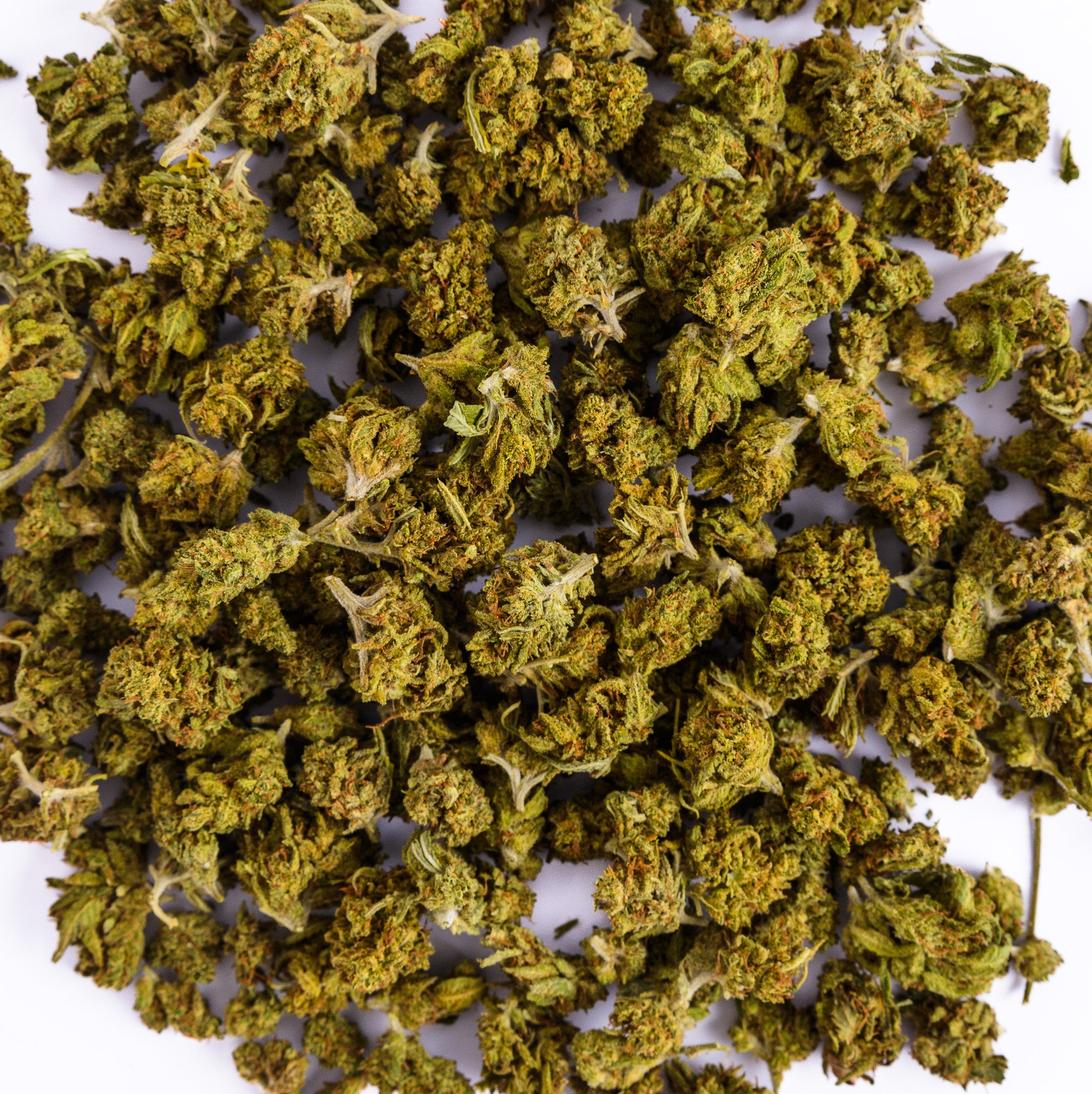 Dragon Buds CBD 10 gr